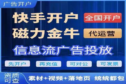 百度竞价与搜索引擎优化（SEO）结合的经典案例